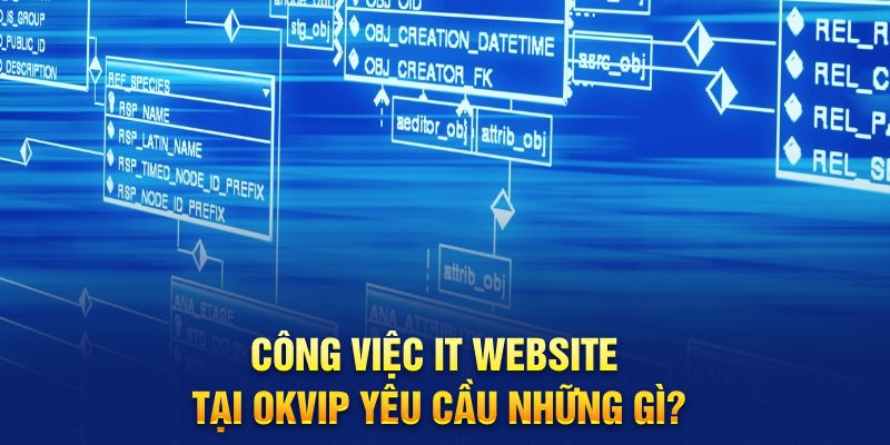 Công việc IT Website tại OKVIP yêu cầu những gì?